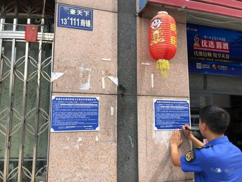 巢湖市城管局汛后全力打好城乡市容环卫攻坚战