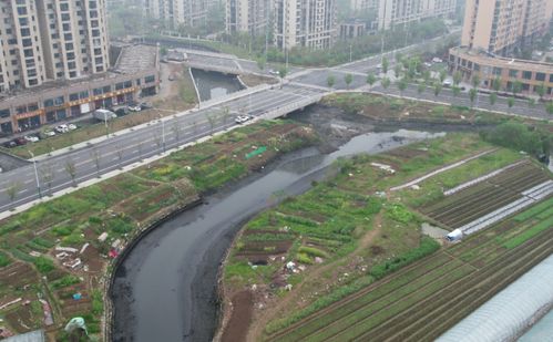 城乡市容管理再亮剑 省级督察组通报铜陵、宣城、芜湖、安庆等地问题