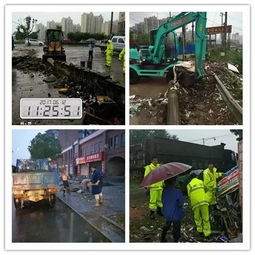 城乡结合部市容市貌管理大有文章可做——瑞昌城管实践探索